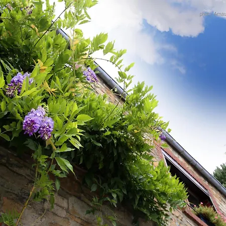 Сasa de vacaciones Modern Spacious