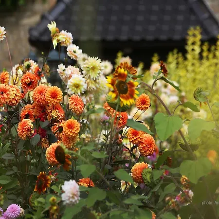 Modern Spacious * Mettet