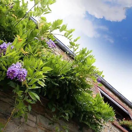 Spacious Holkiday In With Large Garden